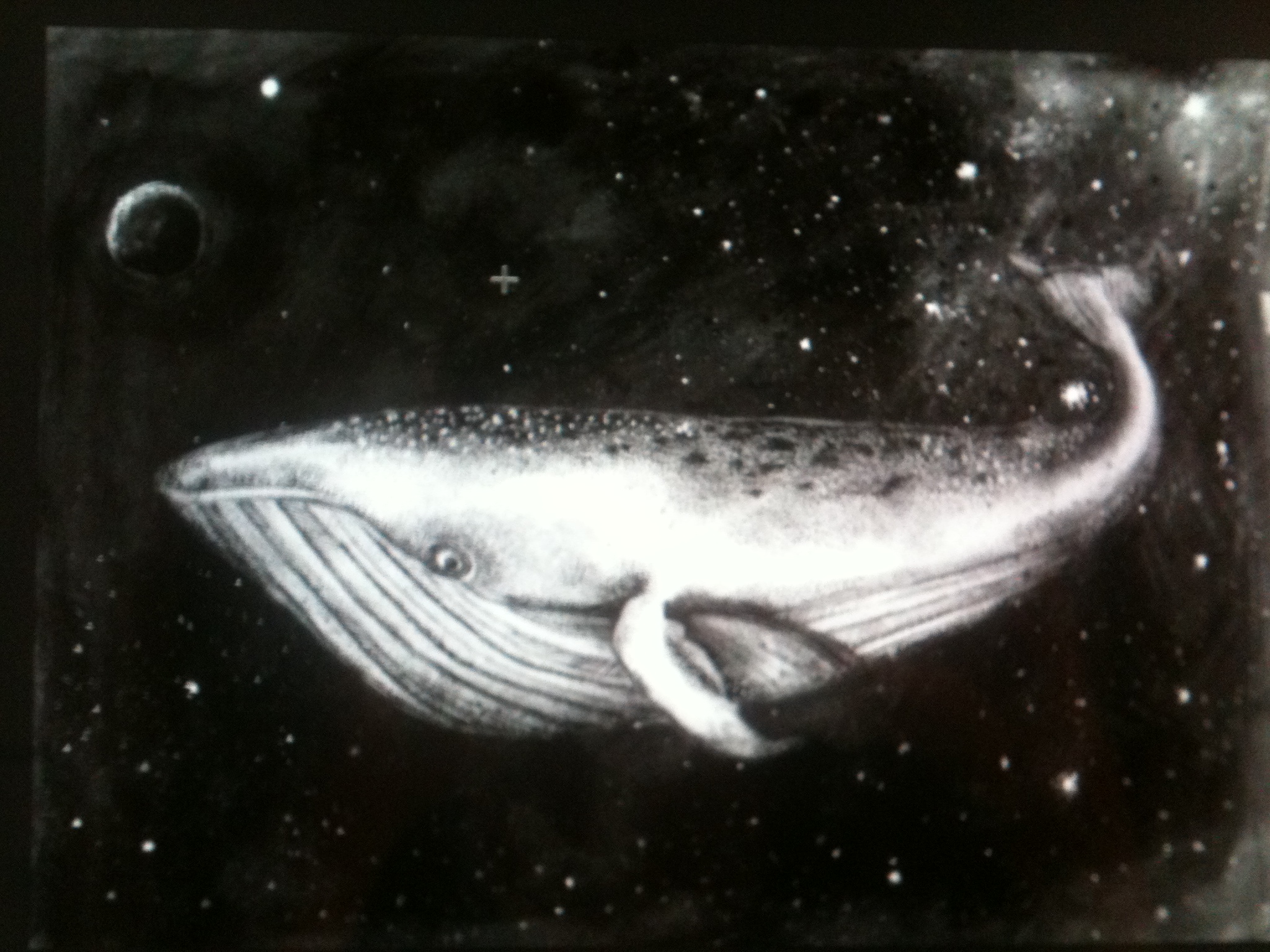 Featured image for “A Whale is a Kind of Spaceship”